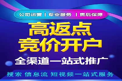 百度SEM广告投放效果评估的案例分析